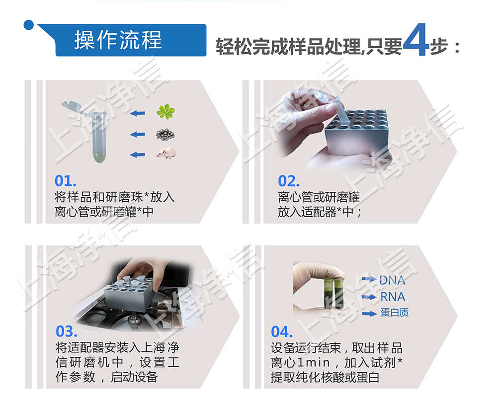 上海凈信-組織研磨機(jī)助力中國海關(guān)抗擊非洲豬瘟的工作進(jìn)行